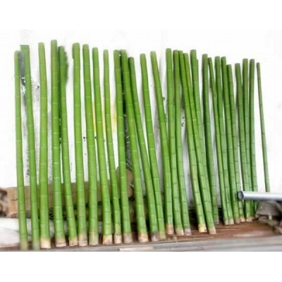 cheap decoration artificial bamboo poles for indoor and outdoor usage