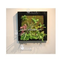 Wall Mounted Vertical Artificial Succulent Plants Wall Hanging Paintings for Wall Ornaments